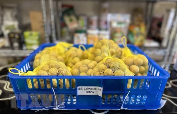 VN needs to build national brands for fruits