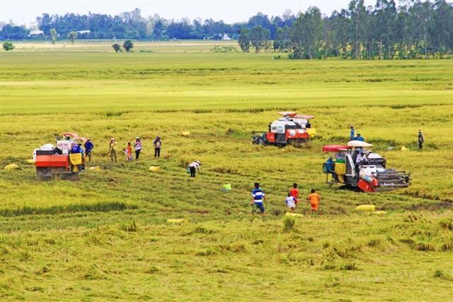 Businesses increasingly embrace sustainability