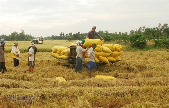 Central bank calls for prioritising loans for rice industry