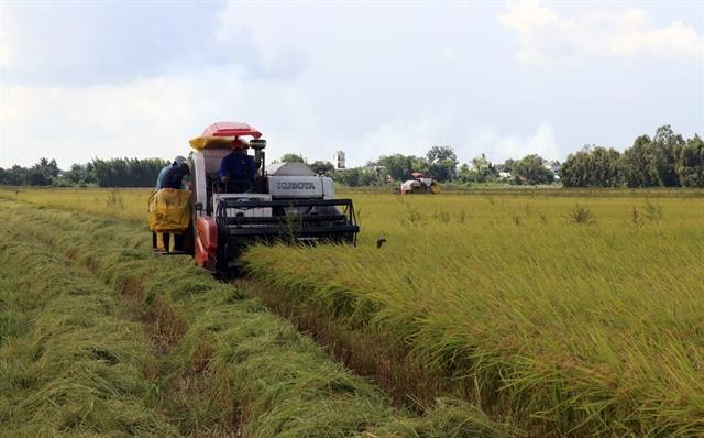 Carbon credits take root in agriculture sector