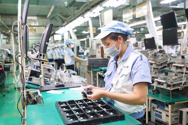 Inflation, recovery and digitalisation key areas of focus: OECD