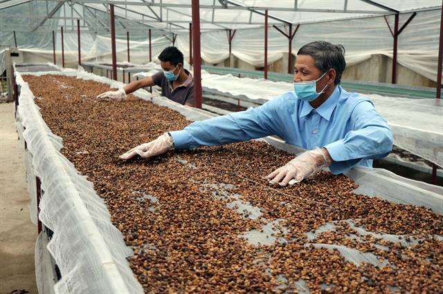 Stocks of coffee producers less appealing on market