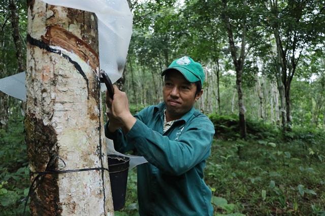 Viet Nam is South Koreas 4th largest rubber supplier