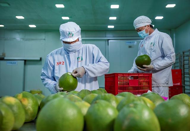 Strategy set to bridge major gap between domestic, international standards