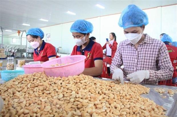 Binh Phuocs cashew nuts recognised as 5-star OCOP product