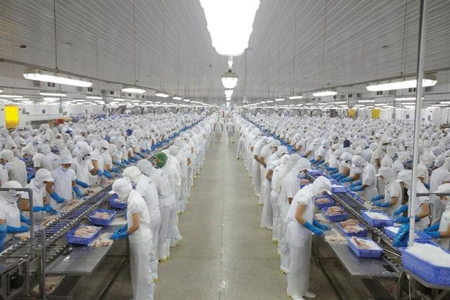 VN-Index gains, focus on seafood shares