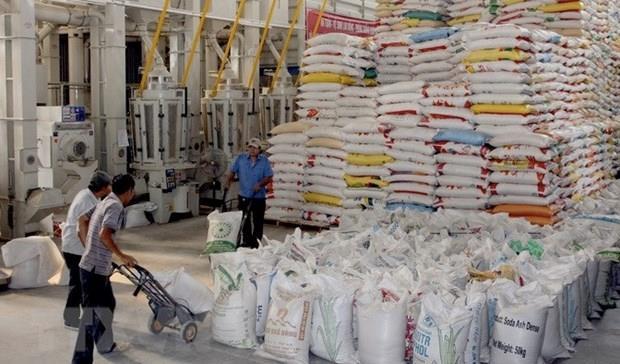 Ministry building long-term strategy on rice exports, market stabilisation: official