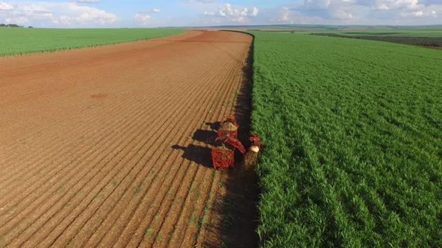 Sugar stocks gain from Indias export curbs