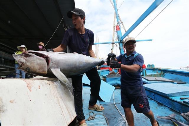 Tuna export orders expected to increase by year-end