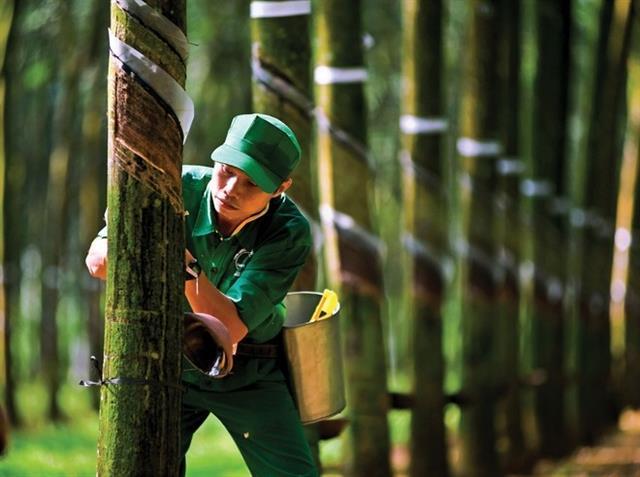 Shares extend gains on the back of pillar stocks