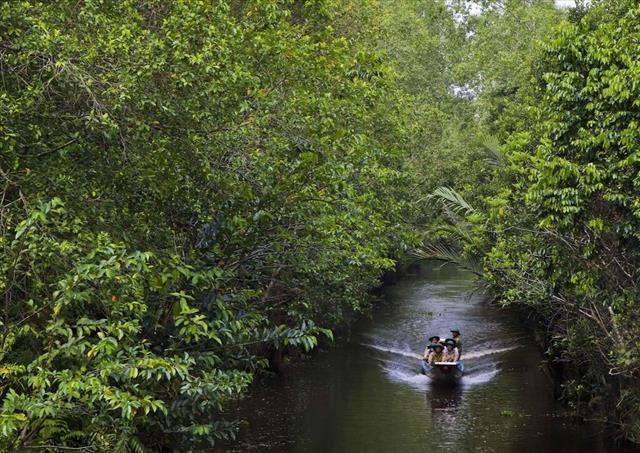 Cần Thơ City to host International Travel Mart in December