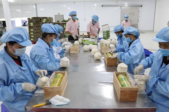 Việt Nam sees many opportunities in coconut exports
