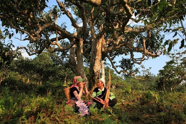 Efforts to promote products made by ethnic minorities and people living in moutainous areas