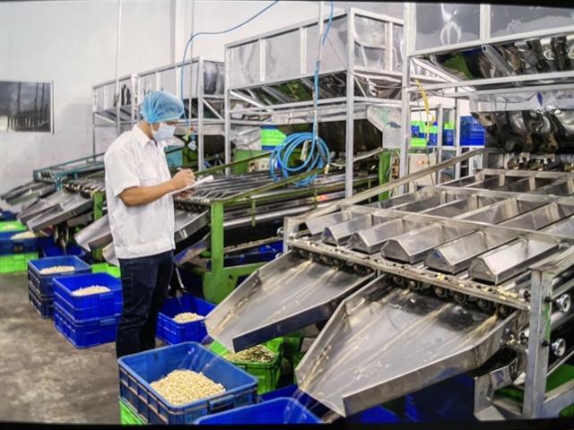 Cashew firms propose to expand raw material areas