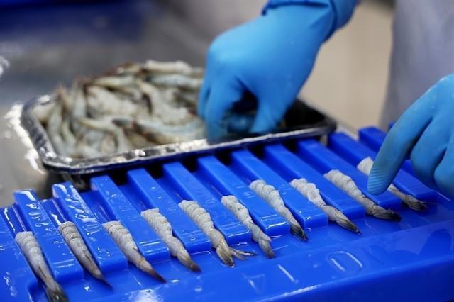 Việt Nams seafood sector primed for growth with favourable exports