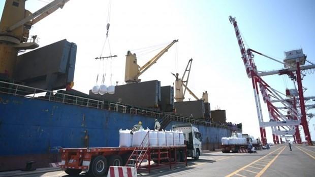 Export activities bustle on first workday after Tết