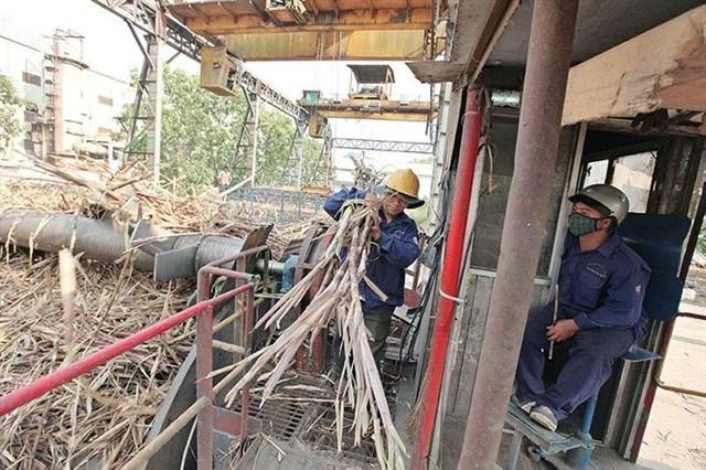 Sugar companies flourished with strong business performance in 2023