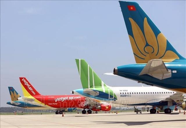 Domestic airlines fleets likely to shrink in two years: CAAV