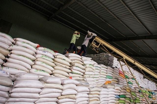 Việt Nams rice exports to Senegal remain low compared to demand