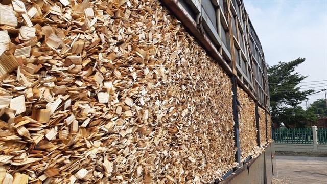 China as Việt Nams largest wood chip export market