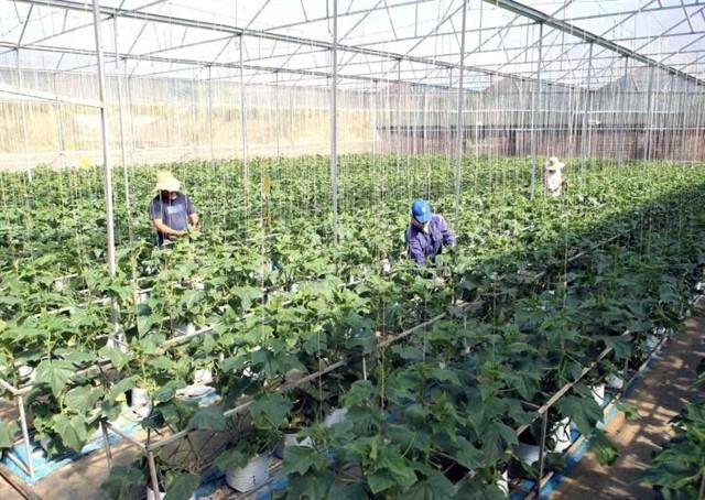 Cooperatives seek to expand sales to e-commerce