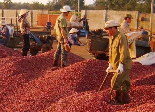 Coffee exports exceed 3 billion