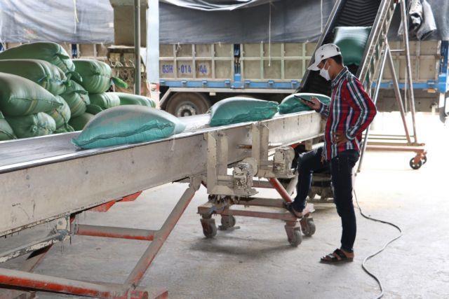 Việt Nam maintains top position among Singapores rice supplier