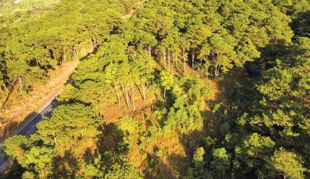 MARD reports a plan to use nearly 6 million tonnes of CO2