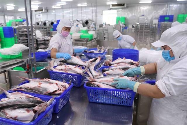 Việt Nams seafood exports continue recovery