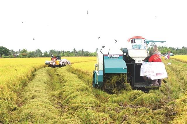 Việt Nams carbon market: regulatory challenges ahead